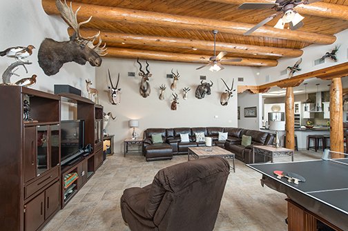 1_fierro home_gameroom
